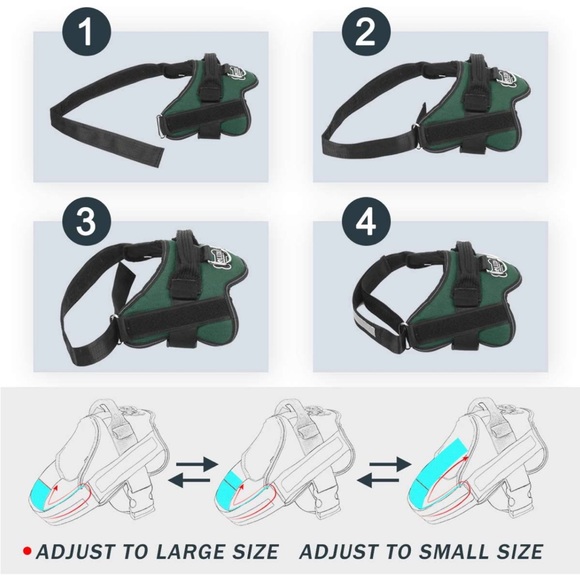 New Bolux Dog No-Pull Harness and Stretch Dog Leash, Medium - Picture 4 of 9